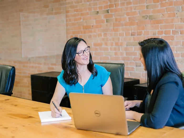 Business consultant meeting with a client at a laptop